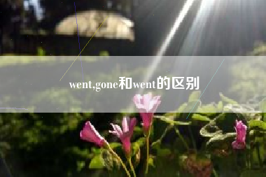 went,gone和went的区别