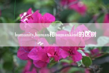 humanity,human和humankind的区别