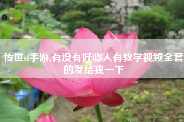 传世sf手游,有没有好心人有教学视频全套的发给我一下
