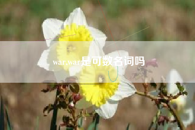war,war是可数名词吗