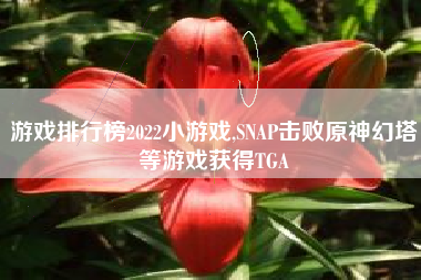游戏排行榜2022小游戏,SNAP击败原神幻塔等游戏获得TGA
