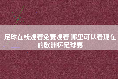 足球在线观看免费观看,哪里可以看现在的欧洲杯足球赛