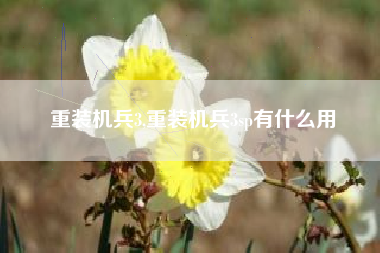 重装机兵3,重装机兵3sp有什么用