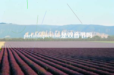 portable,portable是双音节吗