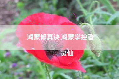 鸿蒙修真诀,鸿蒙掌控者
灵仙 鸿蒙修真诀,鸿蒙掌控者
灵仙