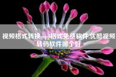 视频格式转换mp4格式免费软件,优酷视频转码软件哪个好
