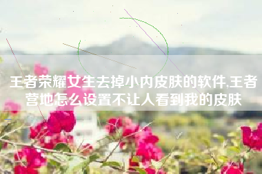 王者荣耀女生去掉小内皮肤的软件,王者营地怎么设置不让人看到我的皮肤