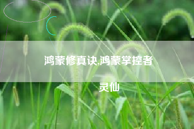 鸿蒙修真诀,鸿蒙掌控者
灵仙 鸿蒙修真诀,鸿蒙掌控者
灵仙