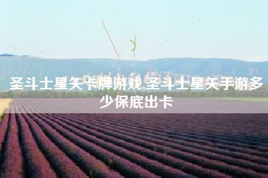 圣斗士星矢卡牌游戏,圣斗士星矢手游多少保底出卡