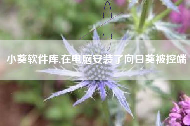 小葵软件库,在电脑安装了向日葵被控端
