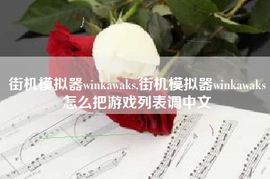 街机模拟器winkawaks,街机模拟器winkawaks怎么把游戏列表调中文