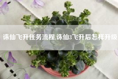 诛仙飞升任务流程,诛仙3飞升后怎样升级