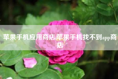 苹果手机应用商店,苹果手机找不到app商店