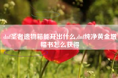 dnf圣者遗物箱能开出什么,dnf纯净黄金增幅书怎么获得