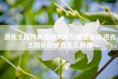 洛克王国稀有宠物大全及捕捉地点,洛克王国骄阳使者怎么获得