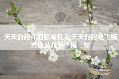 天天酷跑怀旧版单机,和天天酷跑炫飞模式玩法几乎一模一样