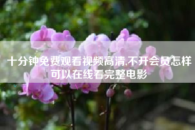 十分钟免费观看视频高清,不开会员怎样可以在线看完整电影