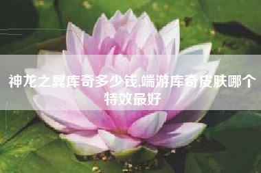 神龙之翼库奇多少钱,端游库奇皮肤哪个特效最好