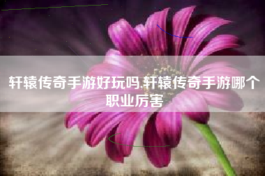 轩辕传奇手游好玩吗,轩辕传奇手游哪个职业厉害