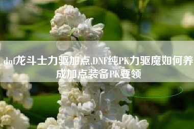 dnf龙斗士力驱加点,DNF纯PK力驱魔如何养成加点装备PK要领