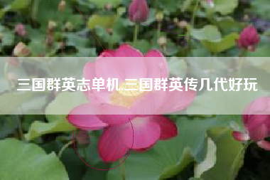 三国群英志单机,三国群英传几代好玩