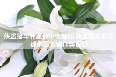 侠盗猎车罪恶都市电脑版,侠盗猎车罪恶都市怎么输作弊密码