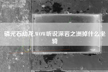 磷光石幼龙,WOW听说深岩之洲掉什么坐骑