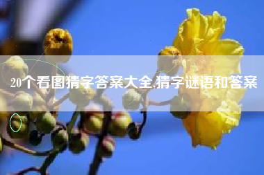 20个看图猜字答案大全,猜字谜语和答案