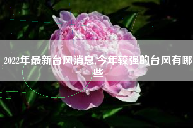 2022年最新台风消息,今年较强的台风有哪些