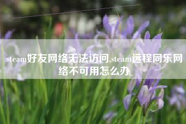 steam好友网络无法访问,steam远程同乐网络不可用怎么办