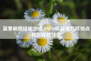蓝拳刷图技能加点,DNF60级蓝拳怎样加点和怎样放技能