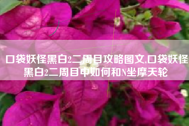 口袋妖怪黑白2二周目攻略图文,口袋妖怪黑白2二周目中如何和N坐摩天轮