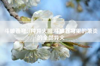 斗破苍穹24种异火图,斗破苍穹里的萧炎的全部异火