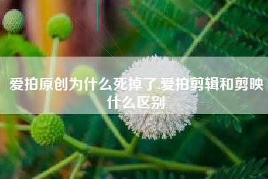爱拍原创为什么死掉了,爱拍剪辑和剪映什么区别