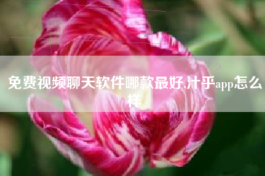 免费视频聊天软件哪款最好,汁乎app怎么样