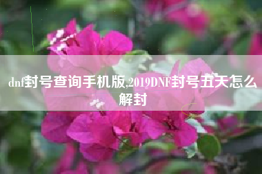 dnf封号查询手机版,2019DNF封号五天怎么解封