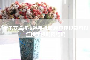 雷电安卓模拟器手机版,雷电模拟器可以连接手机的网络吗