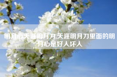 明月心天涯明月刀,天涯明月刀里面的明月心是好人坏人