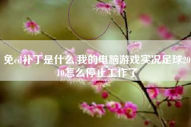 免cd补丁是什么,我的电脑游戏实况足球2010怎么停止工作了