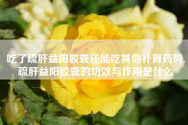 吃了疏肝益阳胶囊还能吃其他补肾药吗,疏肝益阳胶囊的功效与作用是什么