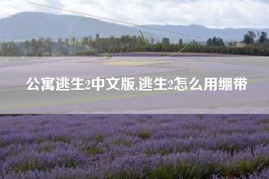 公寓逃生2中文版,逃生2怎么用绷带