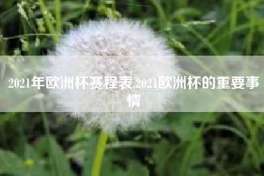 2021年欧洲杯赛程表,2021欧洲杯的重要事情