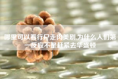 哪里可以看行尸走肉美剧,为什么人们第一反应不是赶紧去华盛顿