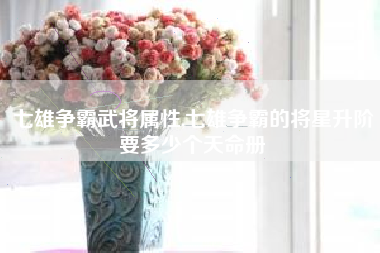 七雄争霸武将属性,七雄争霸的将星升阶要多少个天命册