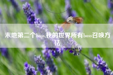 末地第二个boss,我的世界所有boss召唤方法