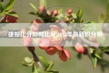 捷报比分即时比分,2023年最新积分榜