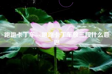 跑跑卡丁车sss,跑跑卡丁车放三段什么意思