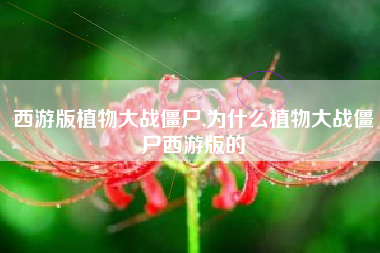 西游版植物大战僵尸,为什么植物大战僵尸西游版的