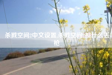 杀戮空间2中文设置,杀戮空间2按什么丢枪