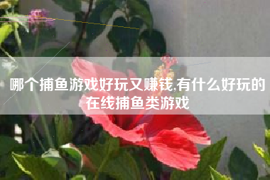 哪个捕鱼游戏好玩又赚钱,有什么好玩的在线捕鱼类游戏